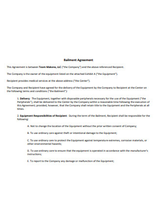Formal Bailment Agreement