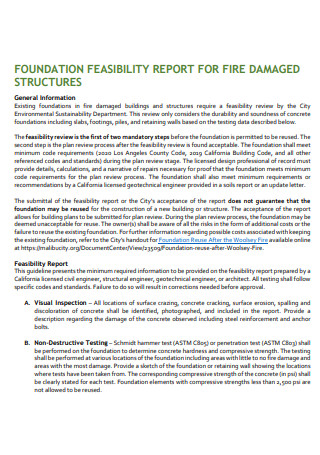 Foundation Feasibility Report