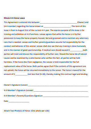 Horse Lease Agreement in PDF