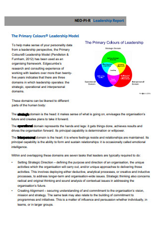 Leadership Model Report Template