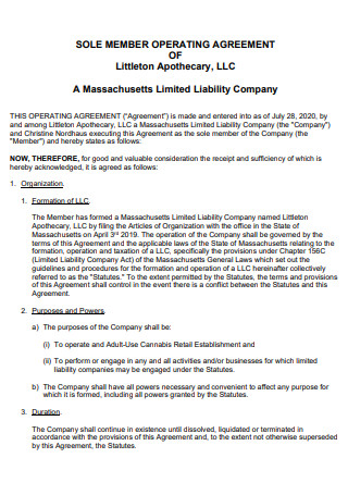 Limited Liability Company Member Operating Agreement