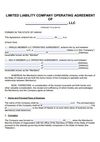 Limited Liability Company Operating Agreement Format