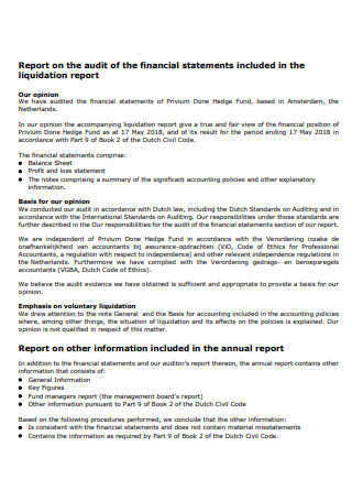 Liquidation Audit Report