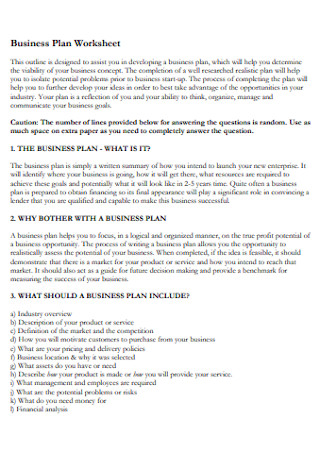 Professional Business Plan Worksheet