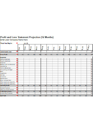 Profit and Loss Statement Projection