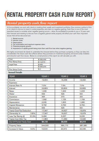 Rental Property Cash Flow Report