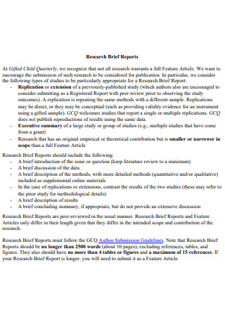 Research Brief Report