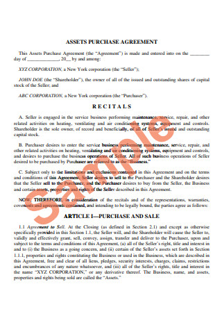 Sample Asset Purchase Agreement