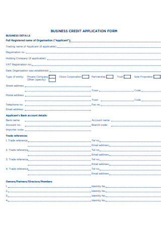 Sample Business Credit Application Form