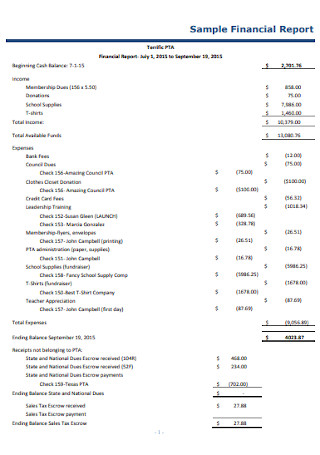 Sample Financial Report Example