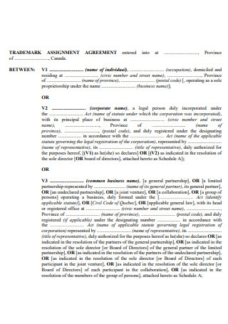 trademark assignment agreement example