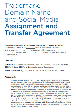 Trademark Assignment and Transfer Agreement