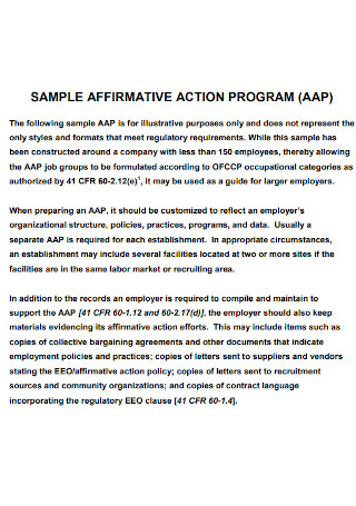 Affidavit Action Program Plan