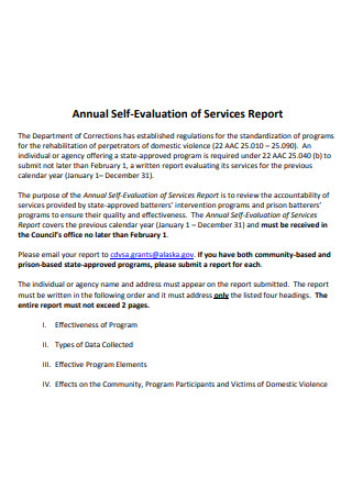 Annual Self Evaluation of Services Report