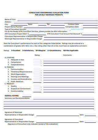 Consultant Performance Evaluation Form