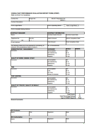 Consultant Performance Evaluation Report Form