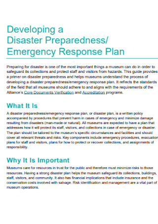 Disaster Emergency Response Plan