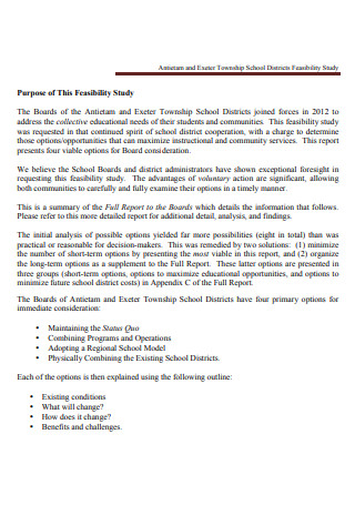 District School Feasibility Board Report