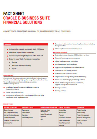 Financial Solution Fact Sheet