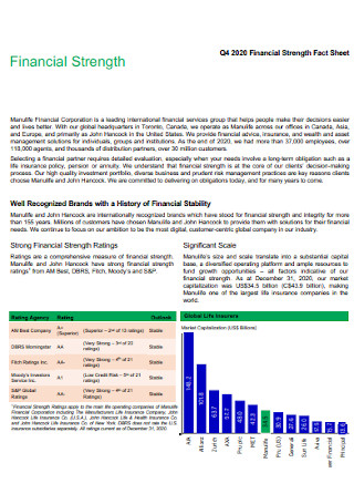 Financial Strength Fact Sheet 