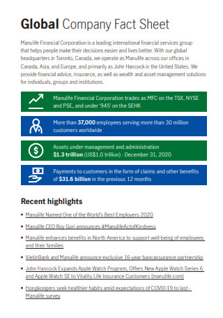 Global Company Fact Sheet