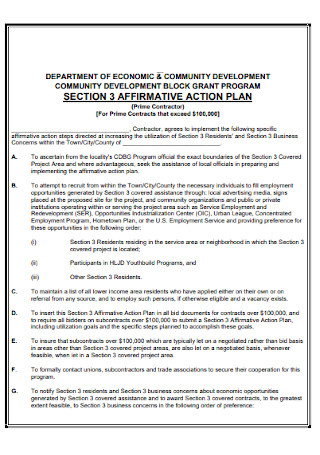 Grant Program Affidavit Action Plan