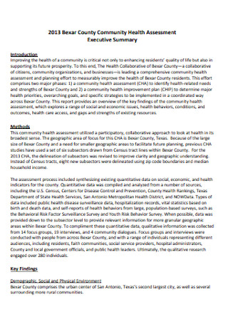 Health Assessment Executive Report