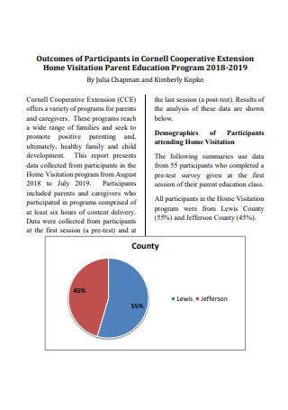 Home Visitation Report Example