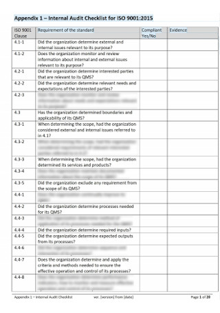 Internal Audit Checklist Format
