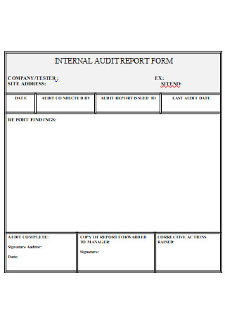 Internal Audit Report Form