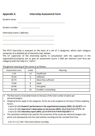 Internship Assessment Form Format