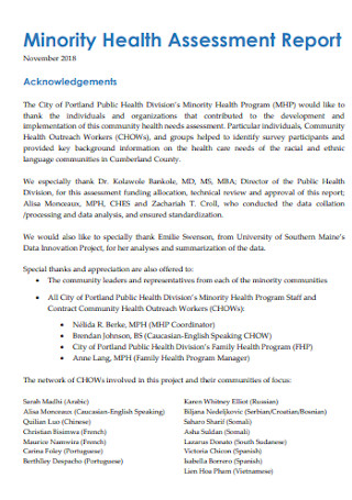 Minority Health Assessment Report