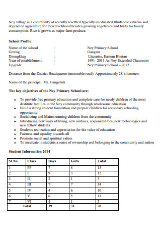 Primary School Project Proposal