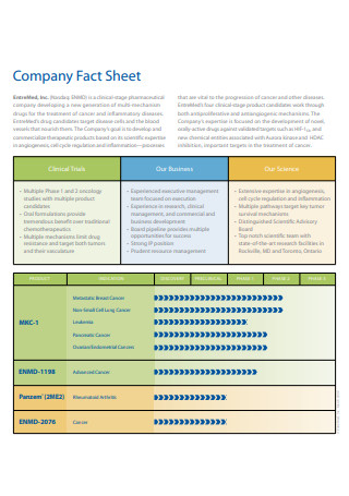 Printable Company Fact Sheet