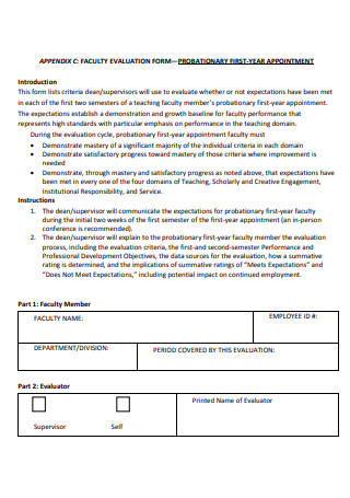 Probationary Faculty Evaluation Form