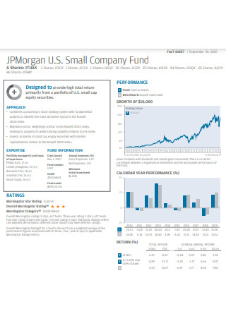 Small Company Fund Fact Sheet