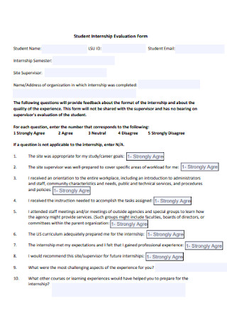 Student Internship Evaluation Form