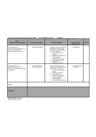 Teamwork and Leadership Assessment Sheet