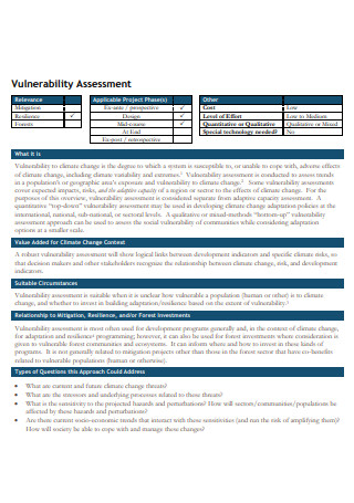 Vulnerability Assessment Format