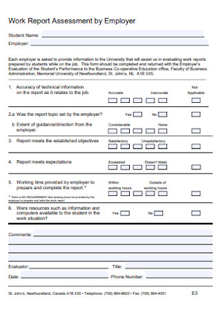 Work Report Assessment by Employer