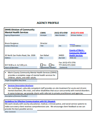 Agency Profile in PDF
