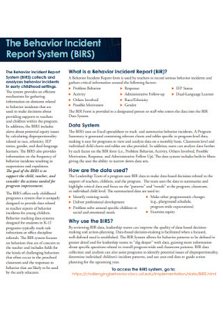Behavior Incident System Report