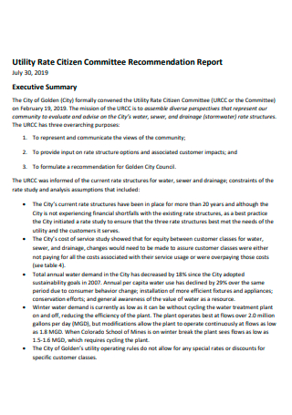 Committee Recommendation Report