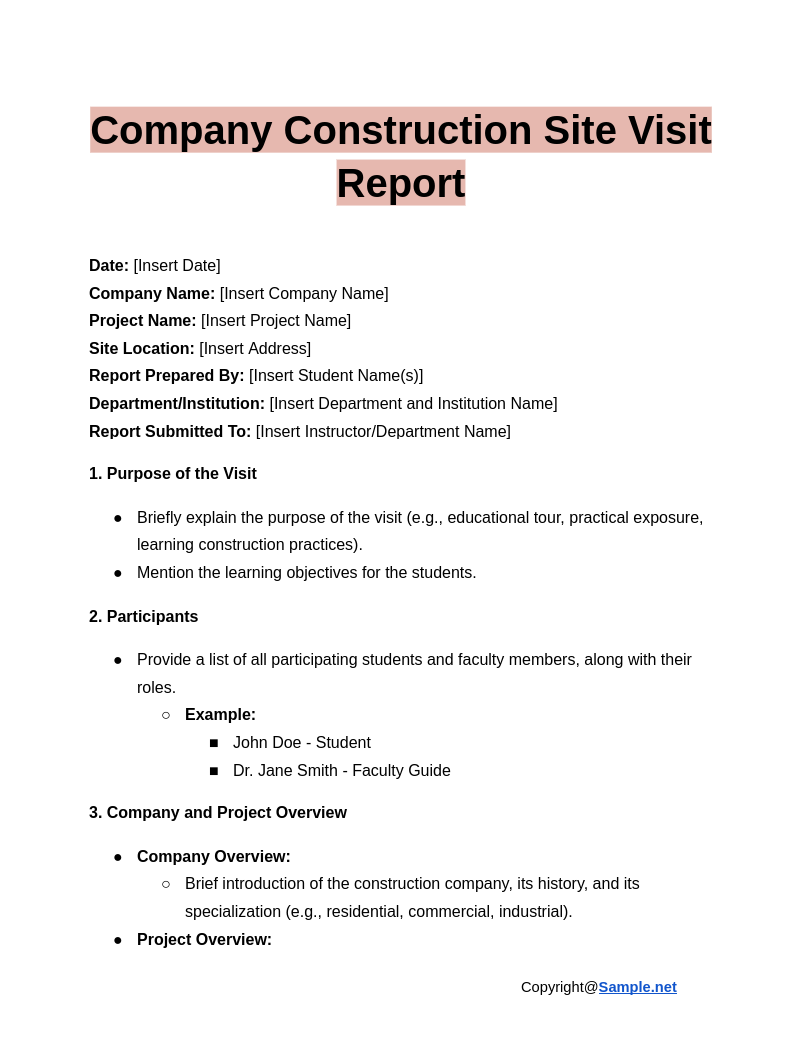 Company Construction Site Visit Report Google Docs 01 10 2025 10 51 AM