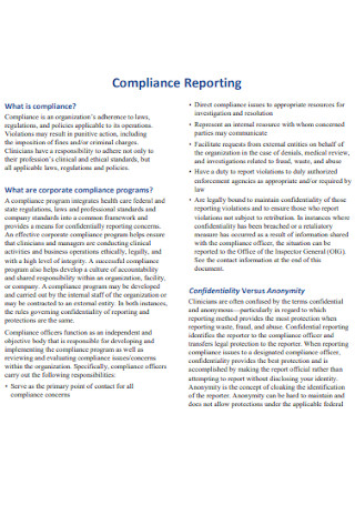Compliance Report Format