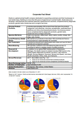 Corporate Fact Sheet Format