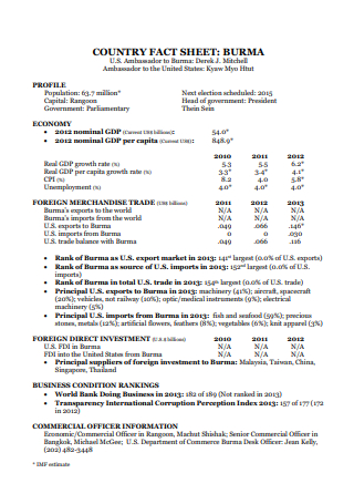 Country Fact Sheet Template