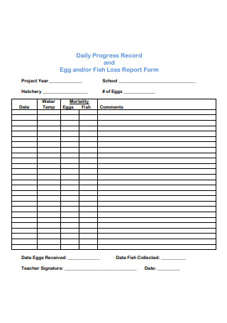 Daily Progress Record and Report Form