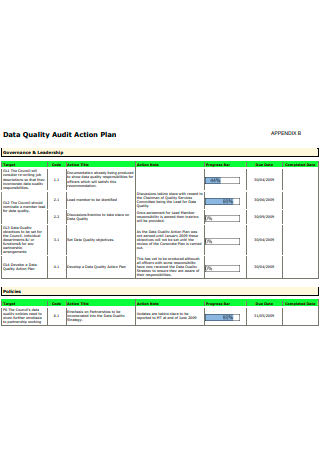 Data Quality Audit Action Plan