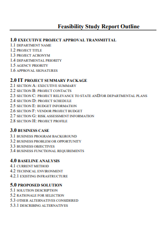 Feasibility Study Report Outline